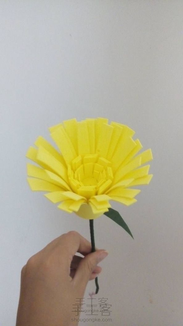 雏菊~