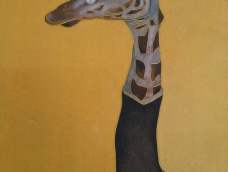 长颈鹿的性格，温顺，稳重，平和，善良，谨慎（遇到天敌袭击时会先选择退让），喜群居。