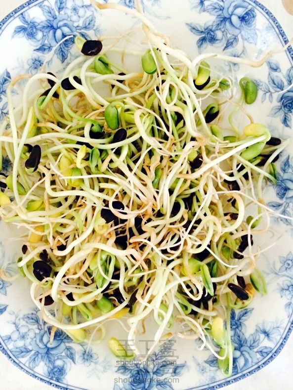 简单的发豆芽的方法