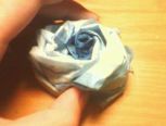 染色蓝玫瑰花！