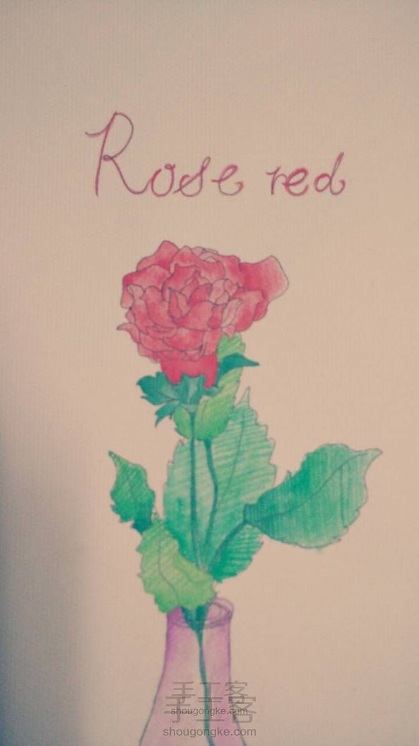 [固体水彩]Red  Rose🌹