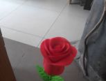 【郎利格郎】姑娘送我一朵玫瑰花