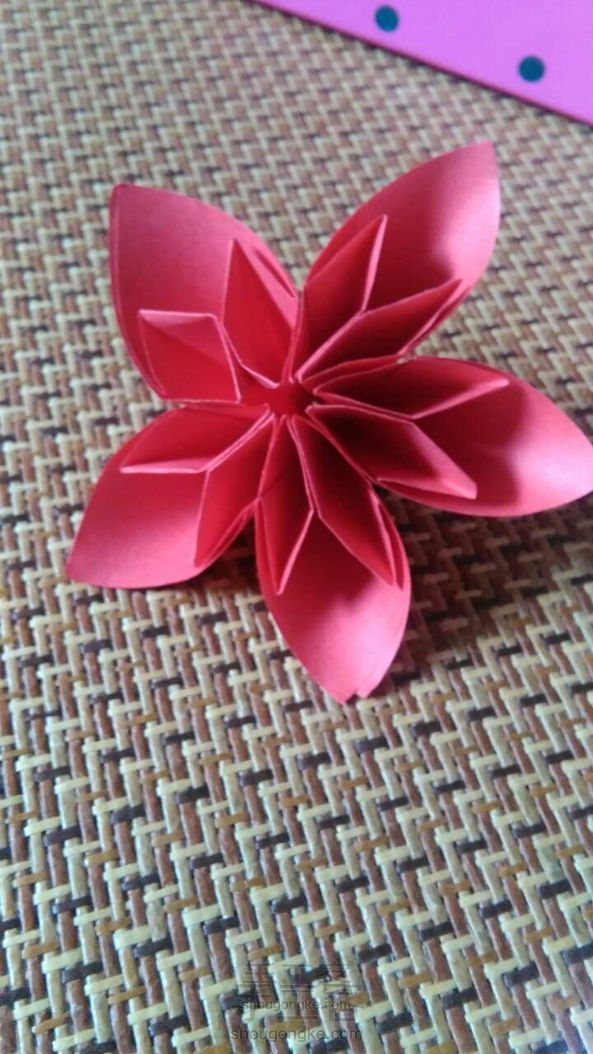 樱花改编(美腻花)。