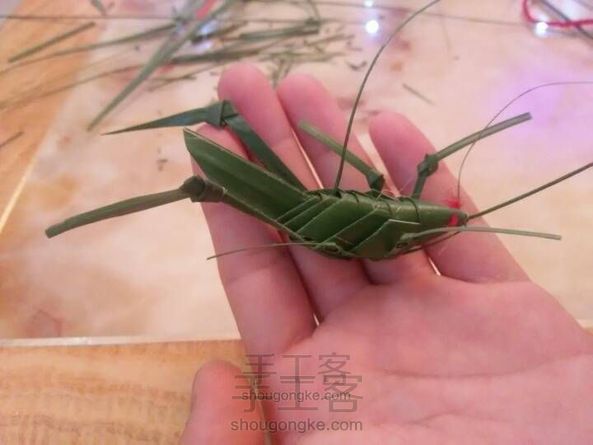 棕编记 蝗虫