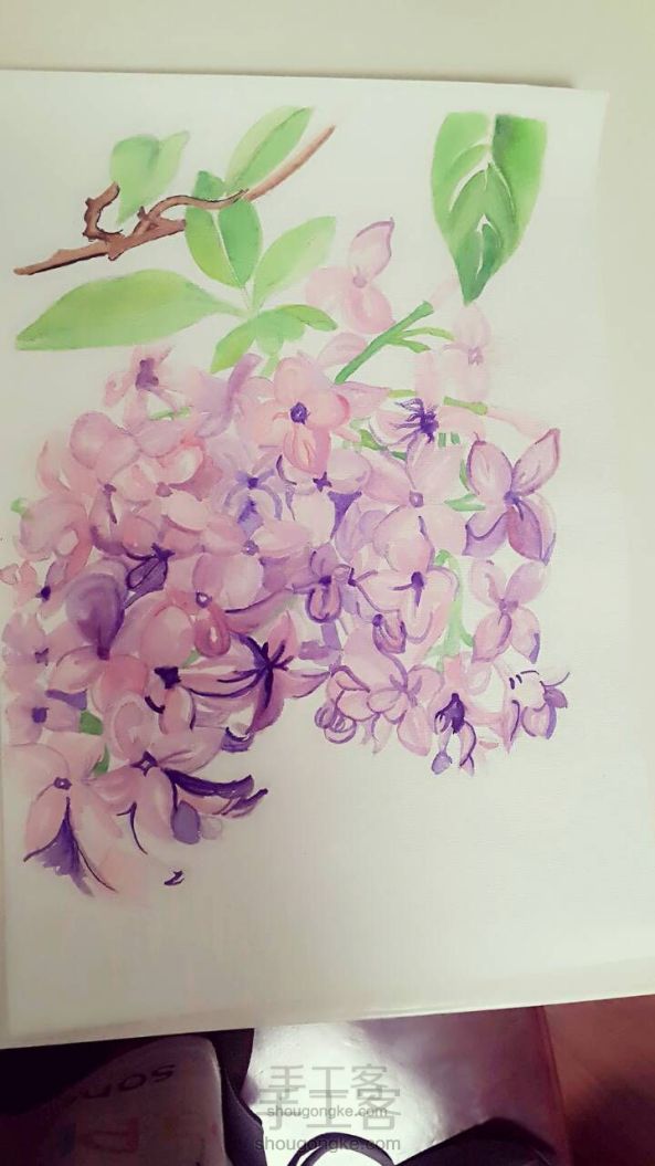 紫丁香--水彩画