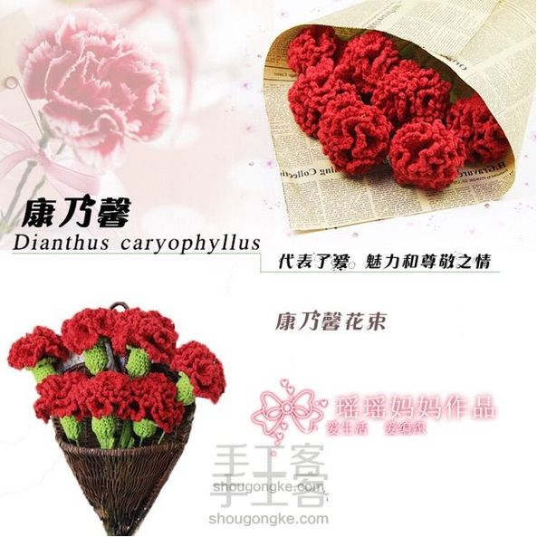 永不凋谢的花康乃馨,康乃馨代表了爱和尊敬