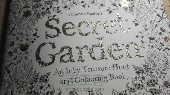《秘密花园》彩铅上色教程1 金黄向日葵