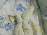 毛巾秒变小白兔！^_-