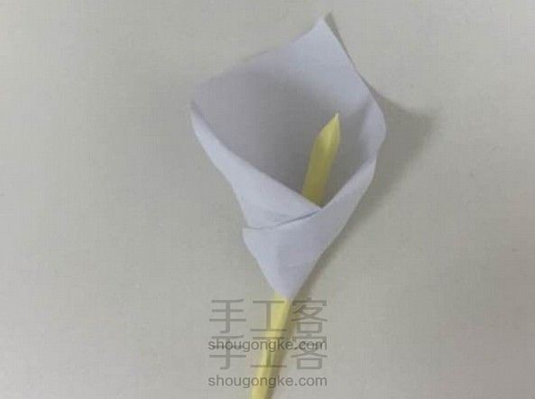 简单马蹄莲造型~