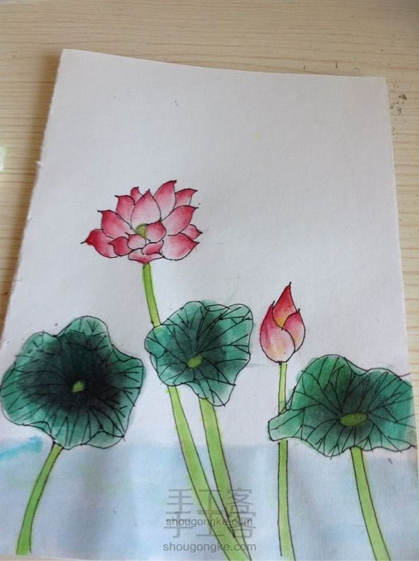 水彩荷花