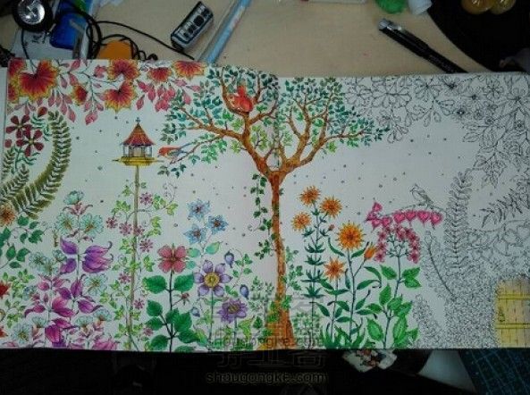 秘密花园