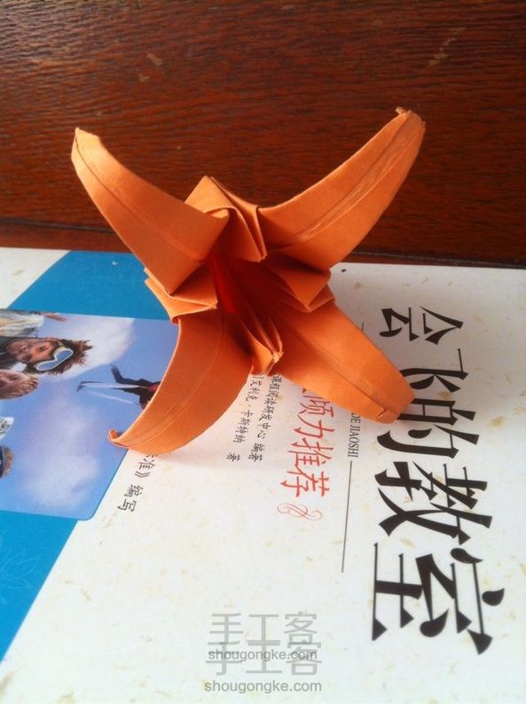 美美达百合花~