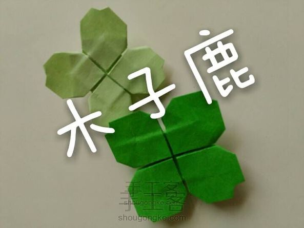 幸运的四叶草🍀