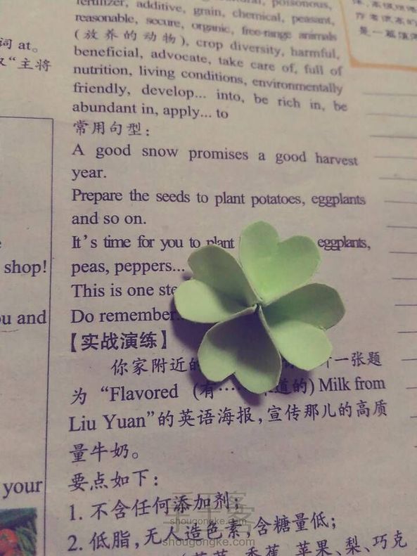 萌萌的四叶草呢🍀