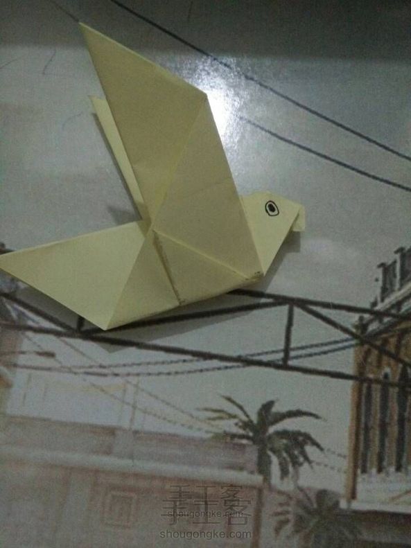 萌哒哒的小鸟要不要来一只?
