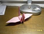 我只制作最完美的千纸鹤