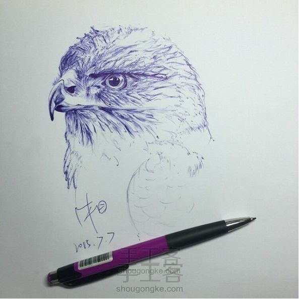 圆珠笔手绘之猫头鹰
