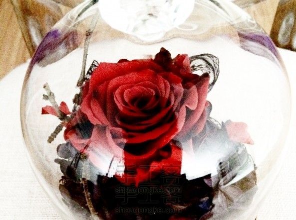 永生花艺玻璃花房之经典哥特风：暗黑中的玫瑰