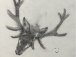 木炭条画动物（1）--鹿