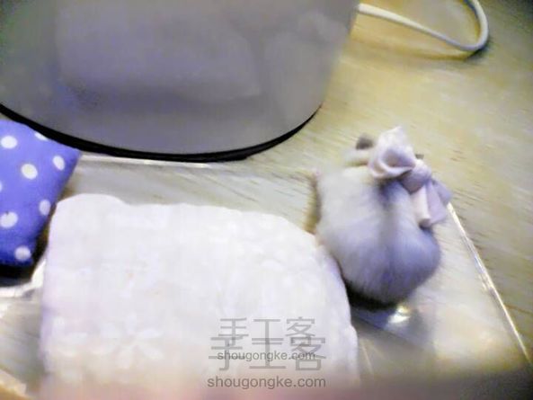 DIY  萌萌哒！蝴蝶结仓鼠项圈