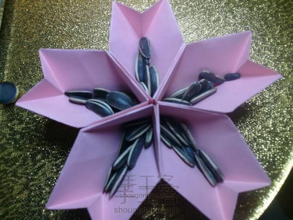 美美哒!樱花果盘