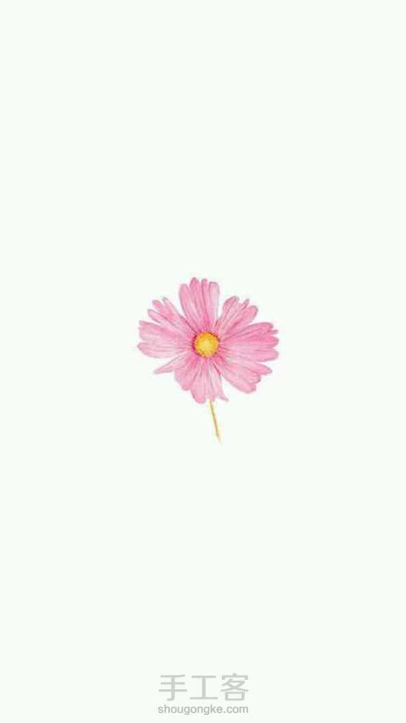 月季纸花