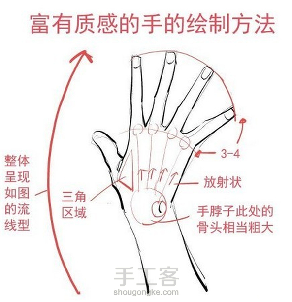 教你如何画好手