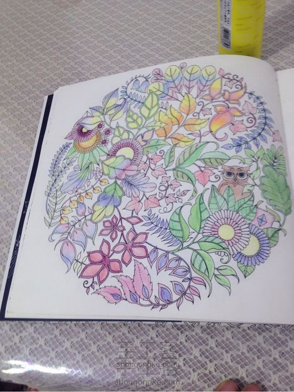 新手零基础画秘密花园(1)