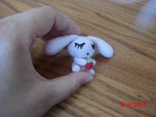 女儿叫它小兔子