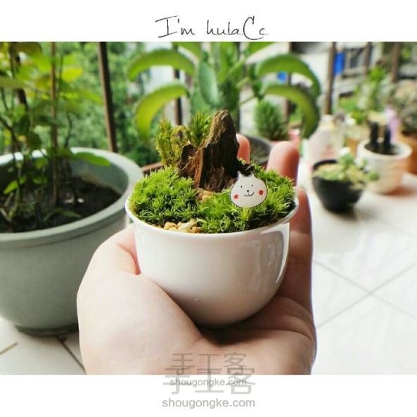 桌面盆栽DIY！！超级可爱的桌面苔藓小盆栽，绿色绿色好心情~