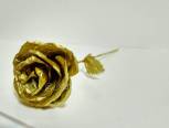 锡箔金玫瑰