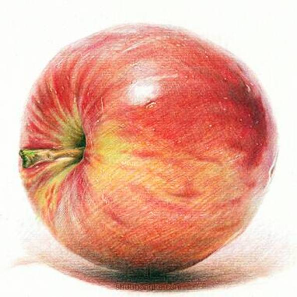 彩铅苹果手绘教程