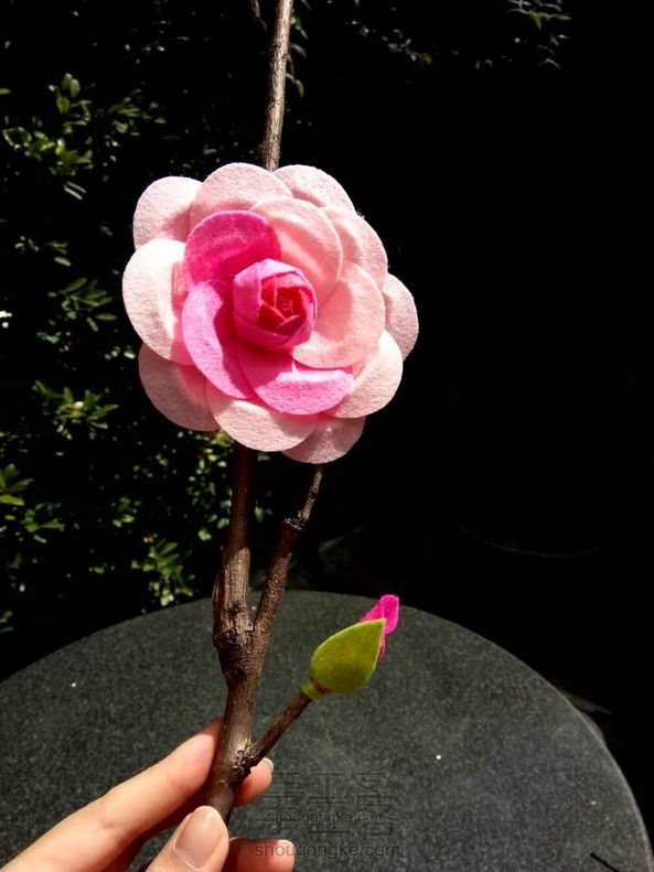 山茶花偏久,琼英插鬓红