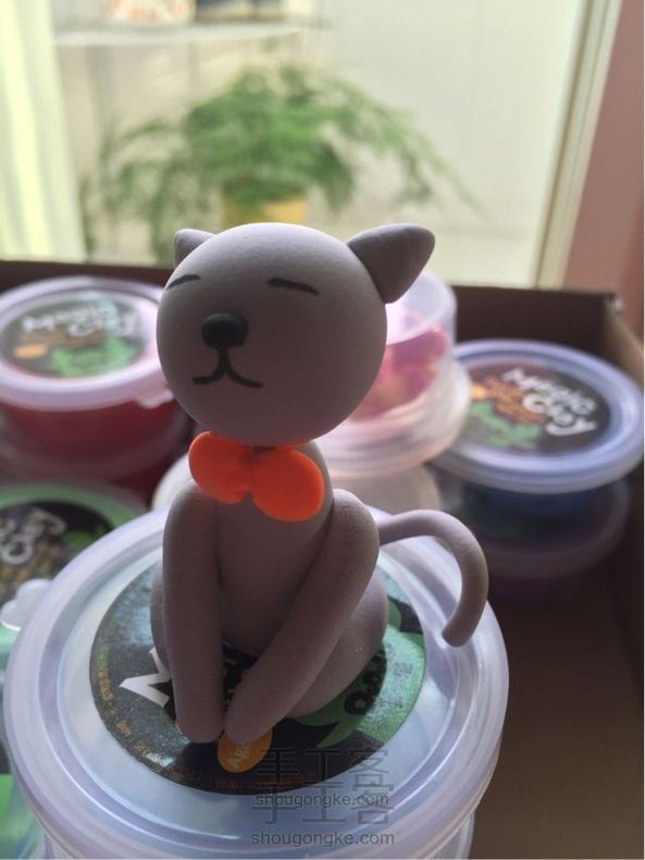 戴领结的小猫咪~