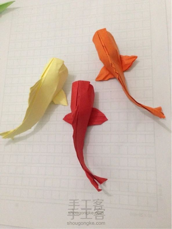锦鲤鱼折纸