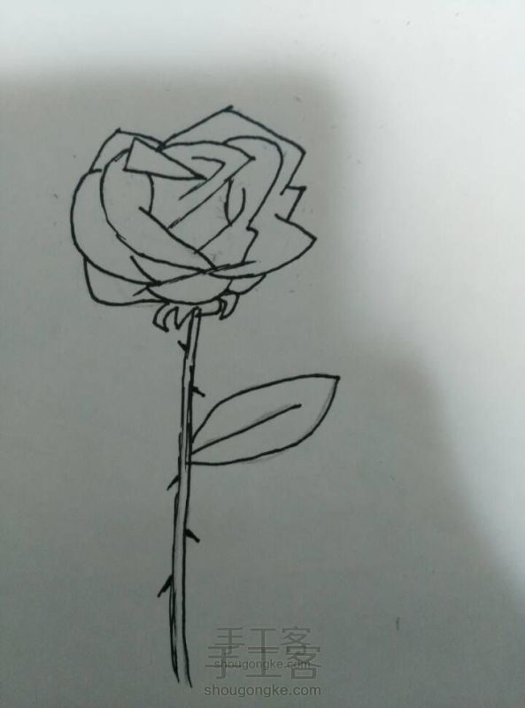 画玫瑰花