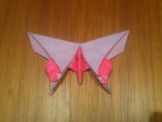 简单的蝴蝶折纸
