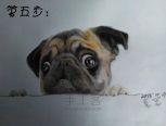 彩铅绘画 狗