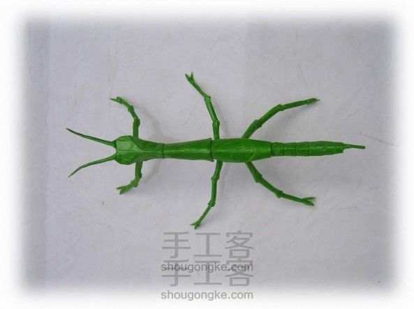 【转载】竹节虫-手工客官网