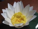 塑料瓶莲花