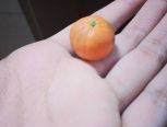 _(:з」∠)_
一只橘子转型南瓜的教程