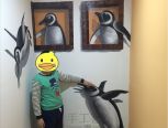 3D企鹅家族手绘墙画