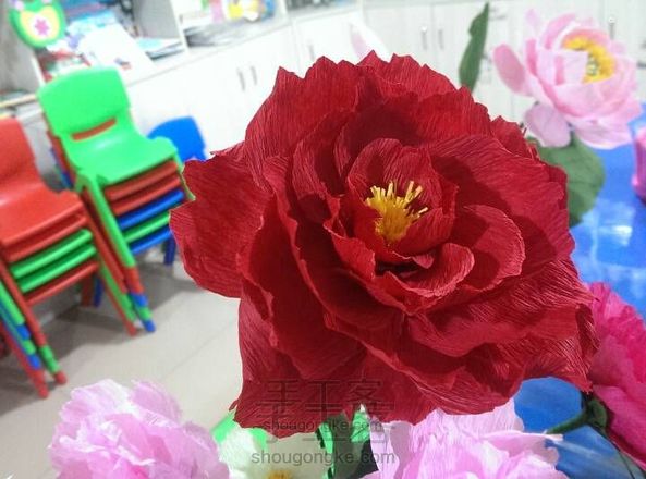 花团锦簇,富丽牡丹