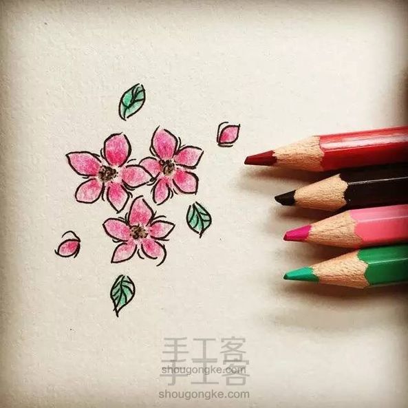 【一木画缘】花卉小课堂之桃花(第8期)