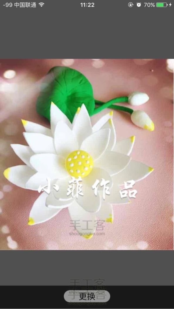 小菲粘土花——静卧一泓秋水的睡莲，纤尘不染，不谙世事～