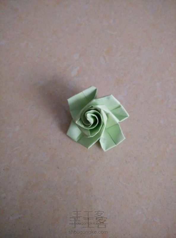 双鬓玫瑰