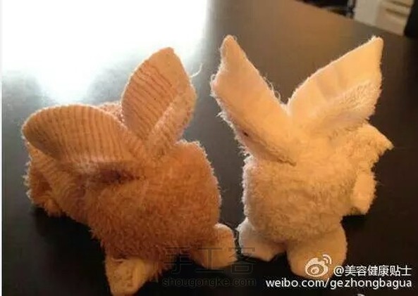 冬日雪兔（转）