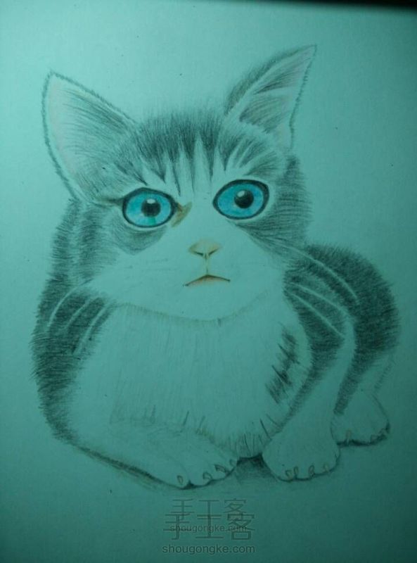 手绘彩铅猫猫