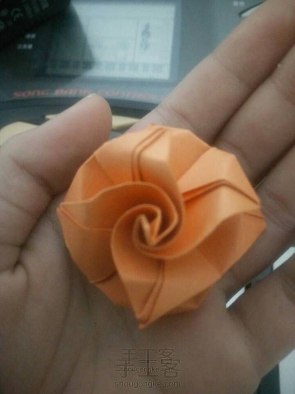 (纸花系列二)美丽的玫瑰花