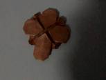十字架（自创）